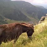 キャンプ場 Les Vernieres Sancy