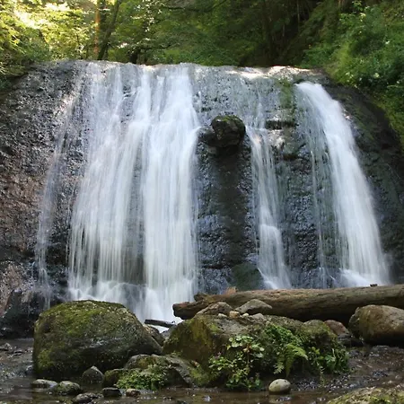 キャンプ場 Les Vernieres Sancy 5*
