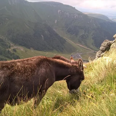キャンプ場 Les Vernieres Sancy