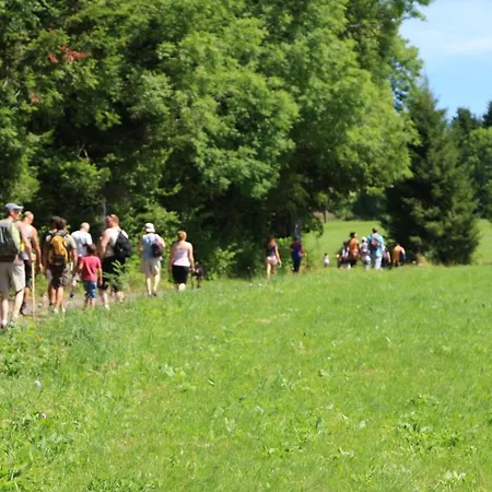 Les Vernieres Sancy La Bourboule