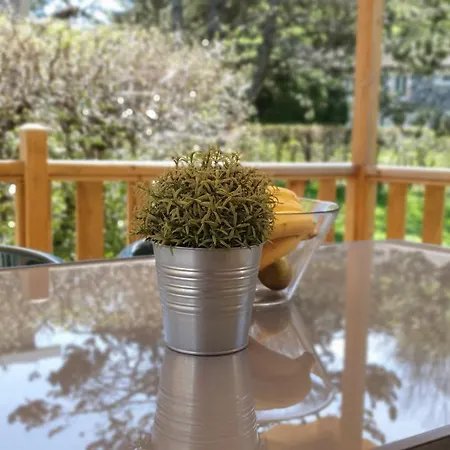 مكان تخييم Les Vernieres Sancy 5*