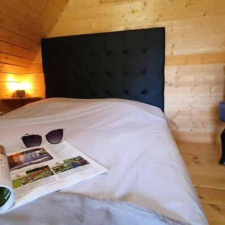 Les Vernieres Sancy 5* لا بوربول